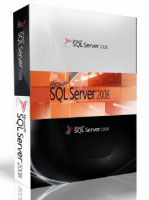 Microsoft SQL Server 2008 R2 (810-08234)